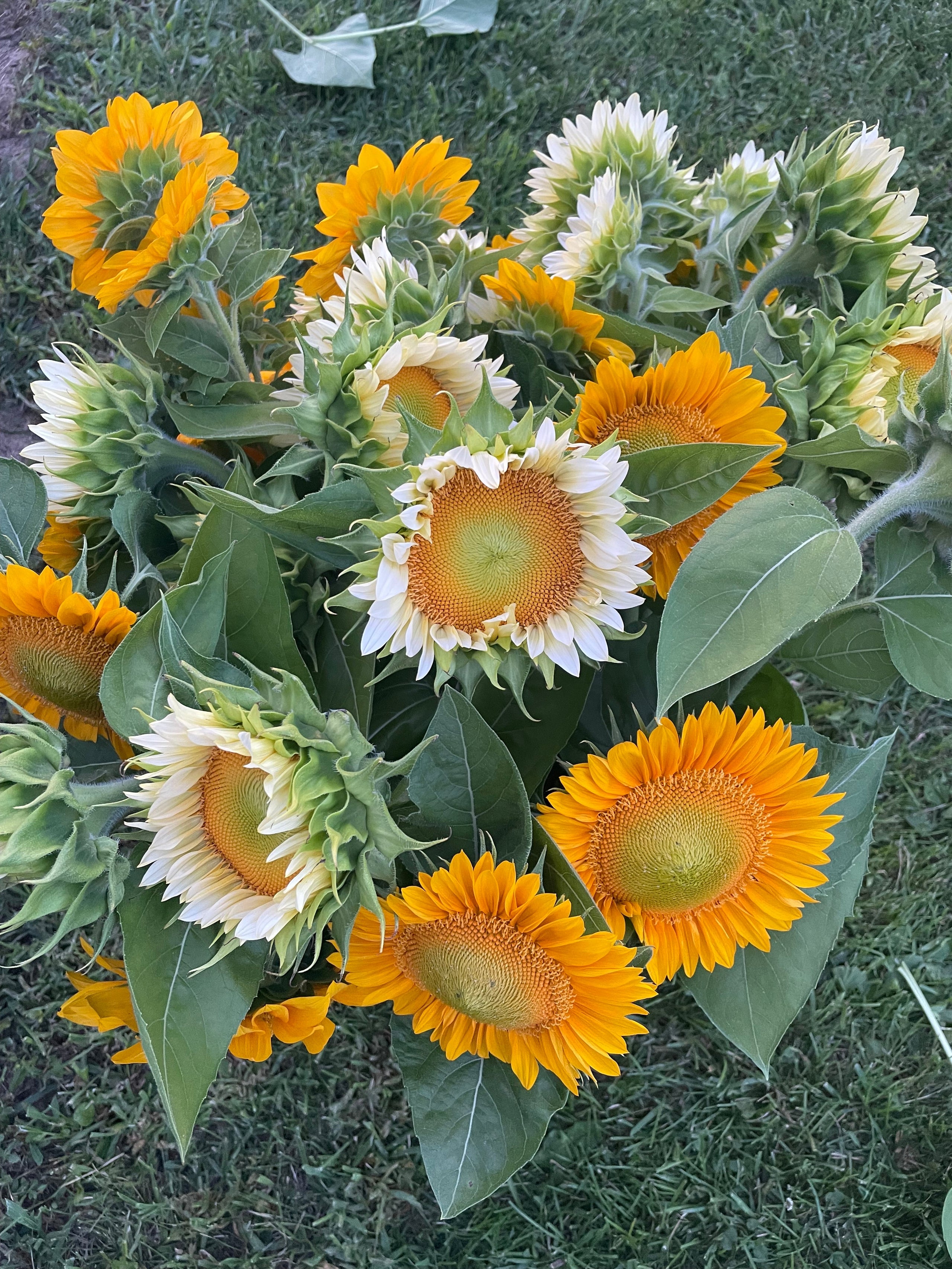 At The Flower Stand!