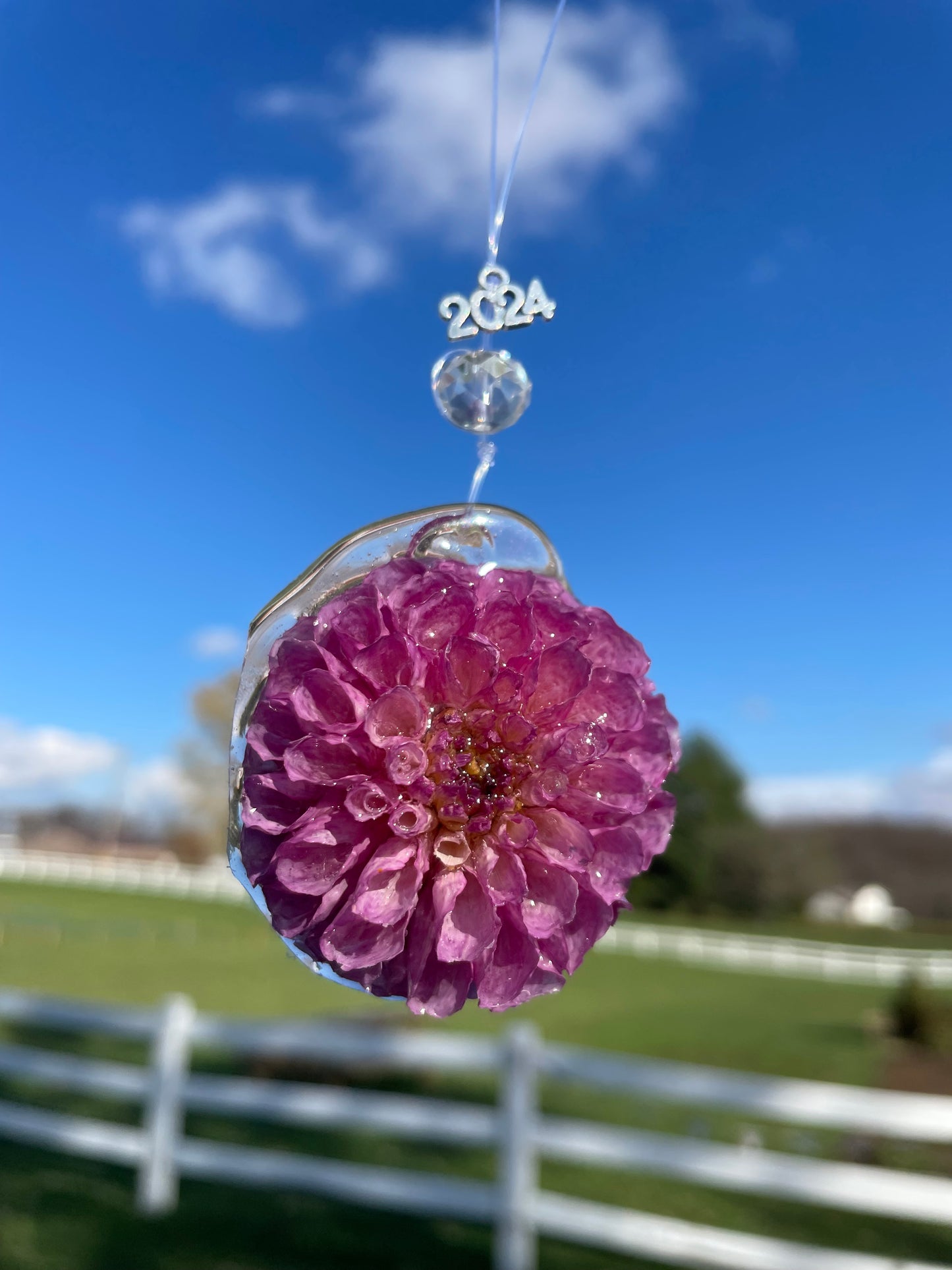 Handcrafted Preserved Dahlia Ornaments