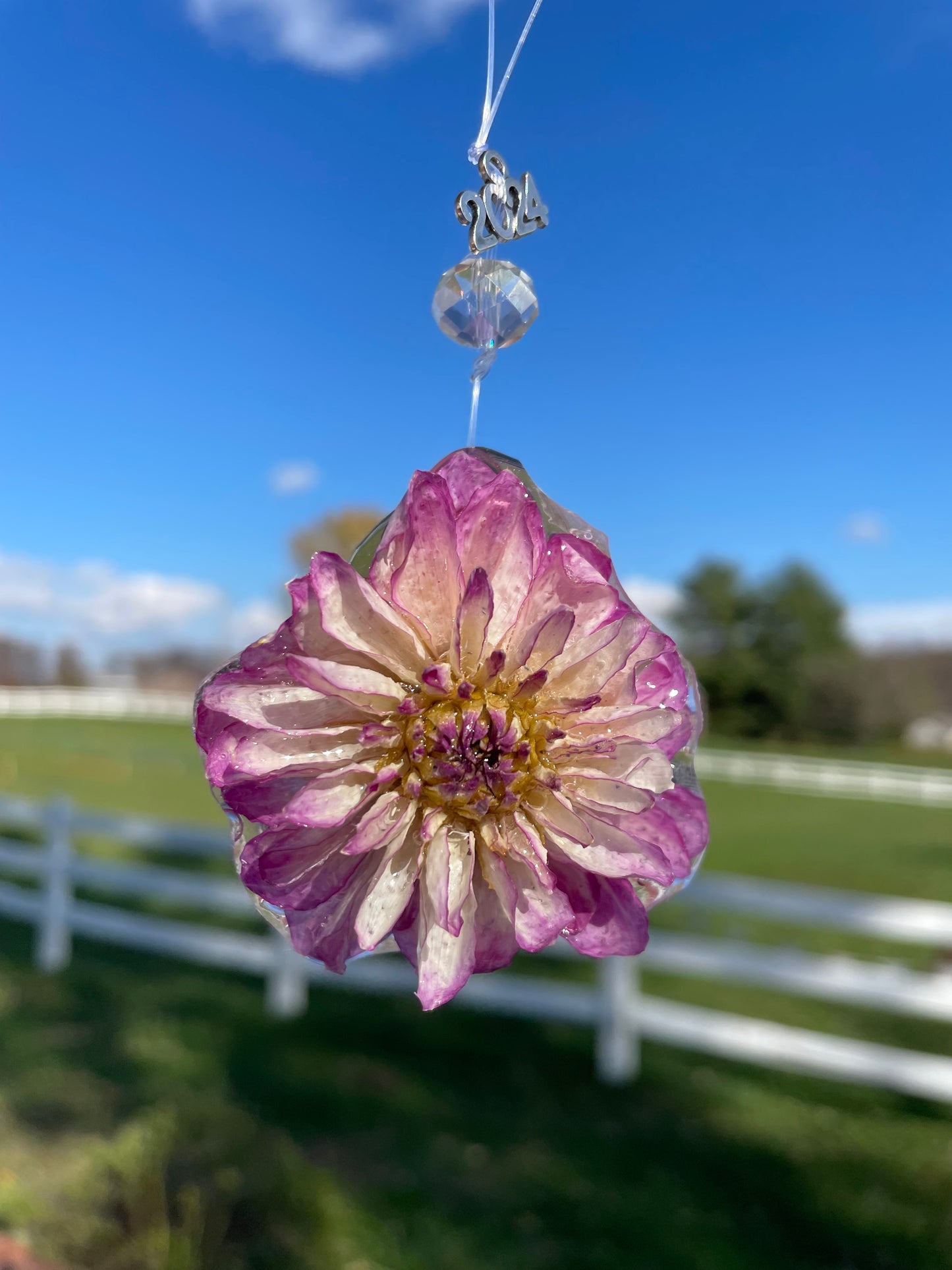 Handcrafted Preserved Dahlia Ornaments