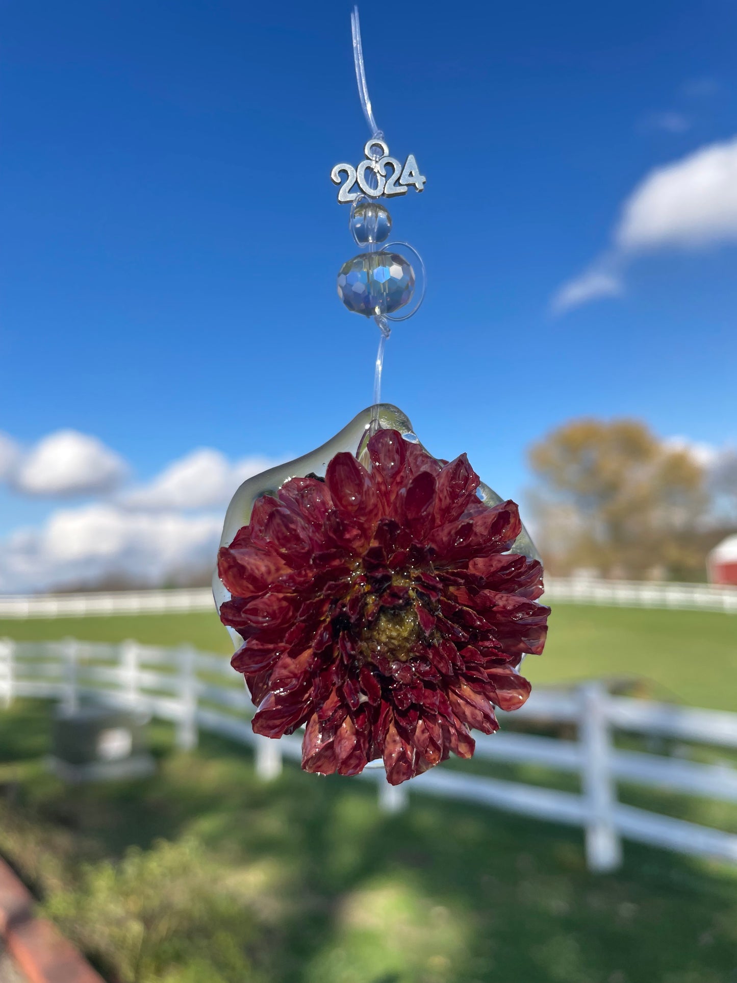 Handcrafted Preserved Dahlia Ornaments