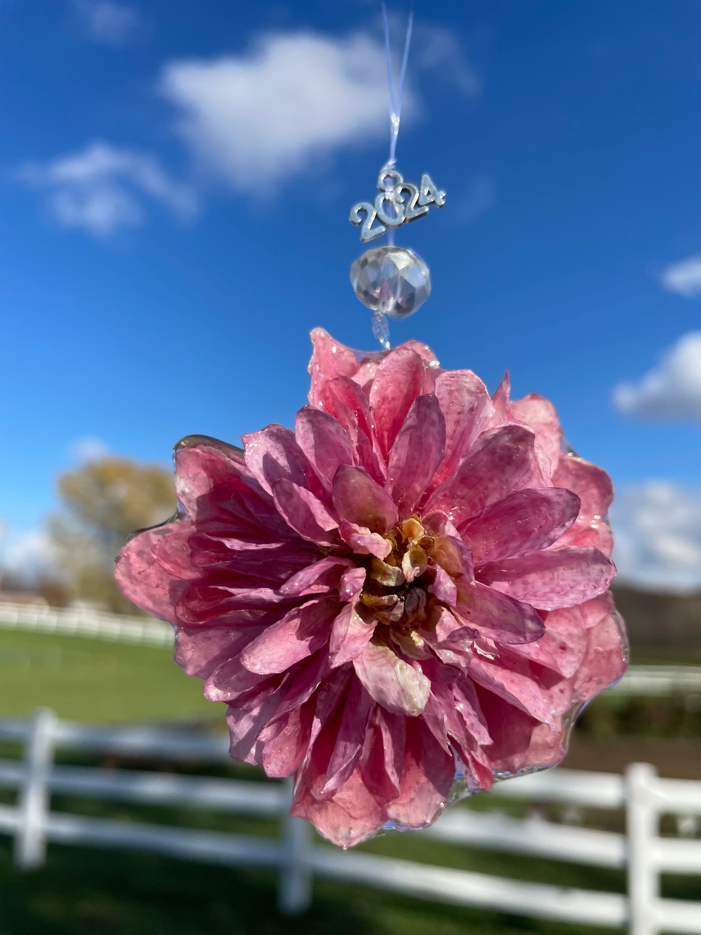 Handcrafted Preserved Dahlia Ornaments