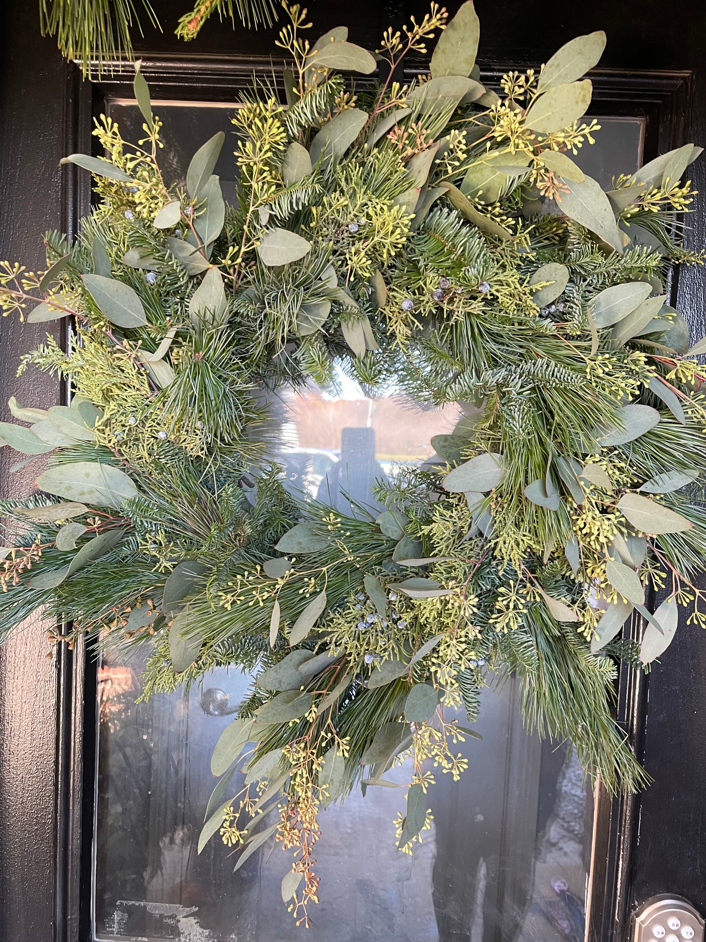 Fresh Evergreen Holiday Wreaths- Shipping Available