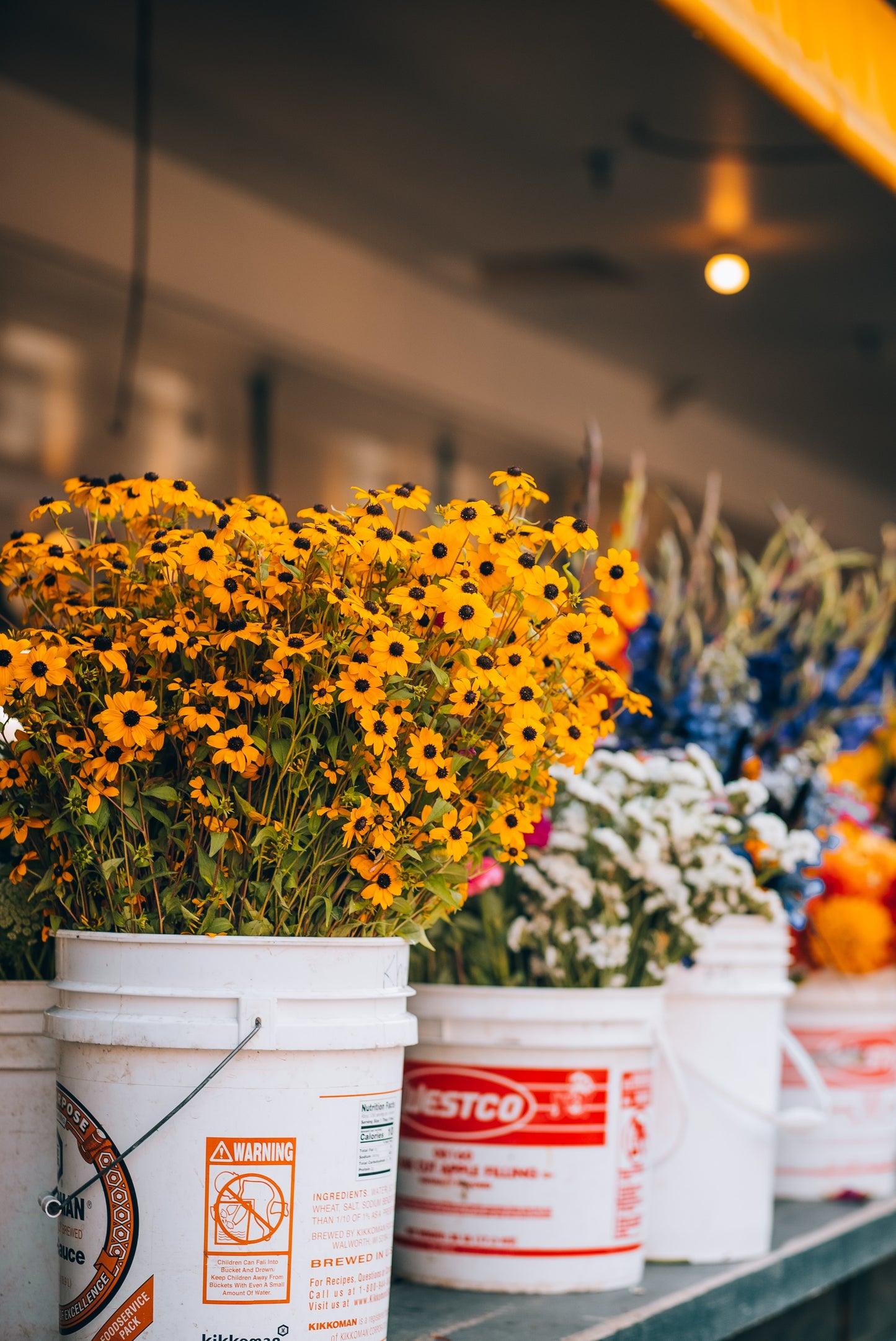 DIY bloom buckets