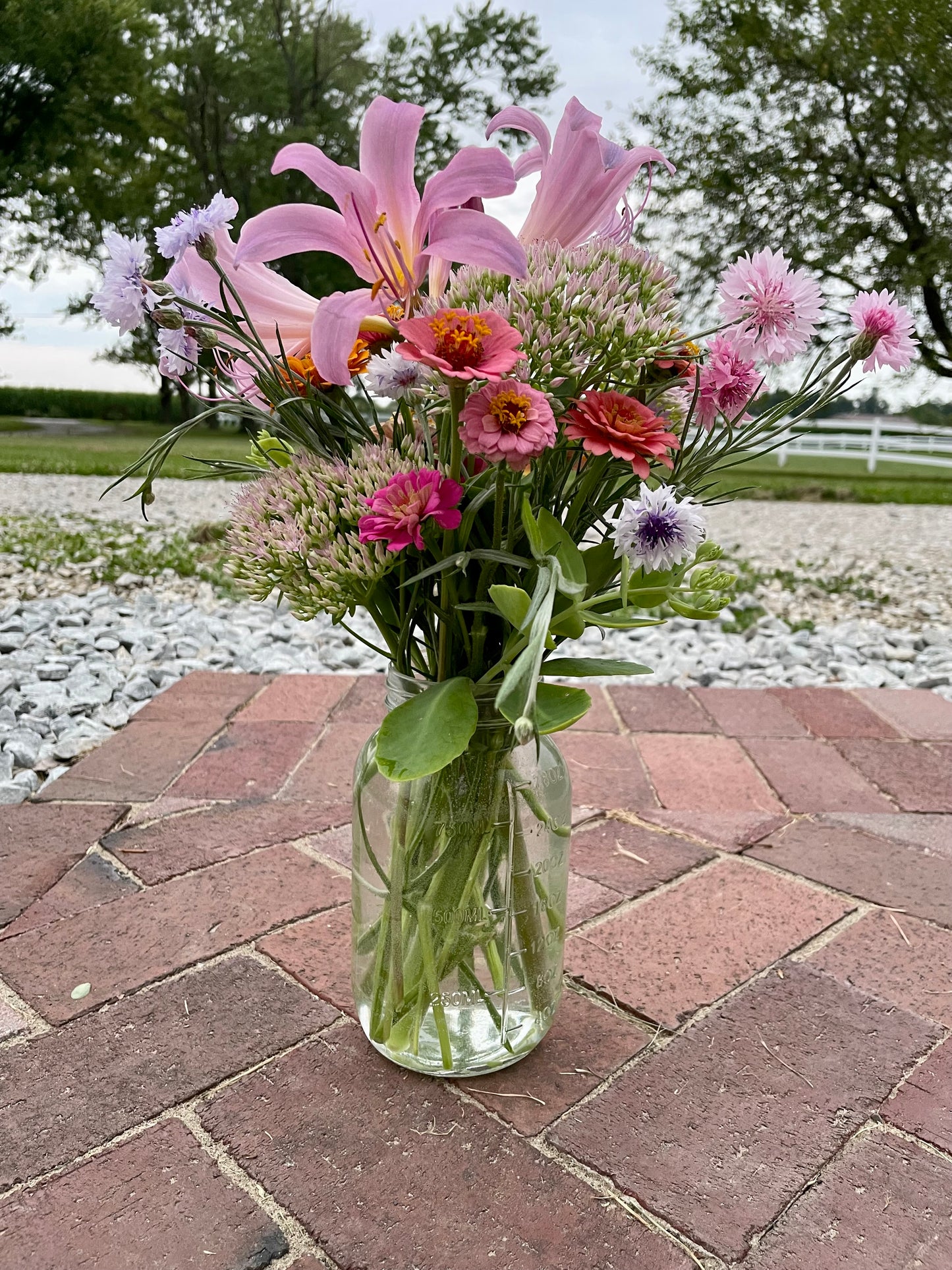 Farmstand Bunches/Bouquets/Arrangements