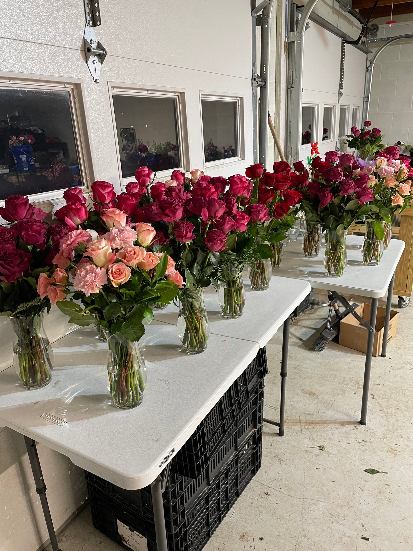 "Timeless Romance" - Our Classic Dozen Roses Vase Arrangement. VALENTINE'S DAY