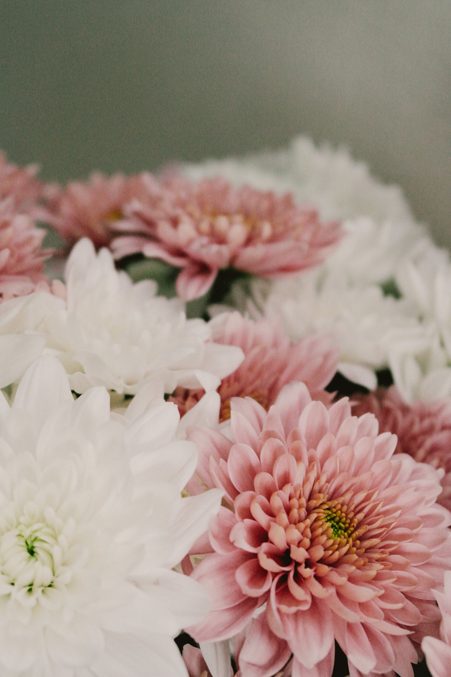 DIY bloom buckets