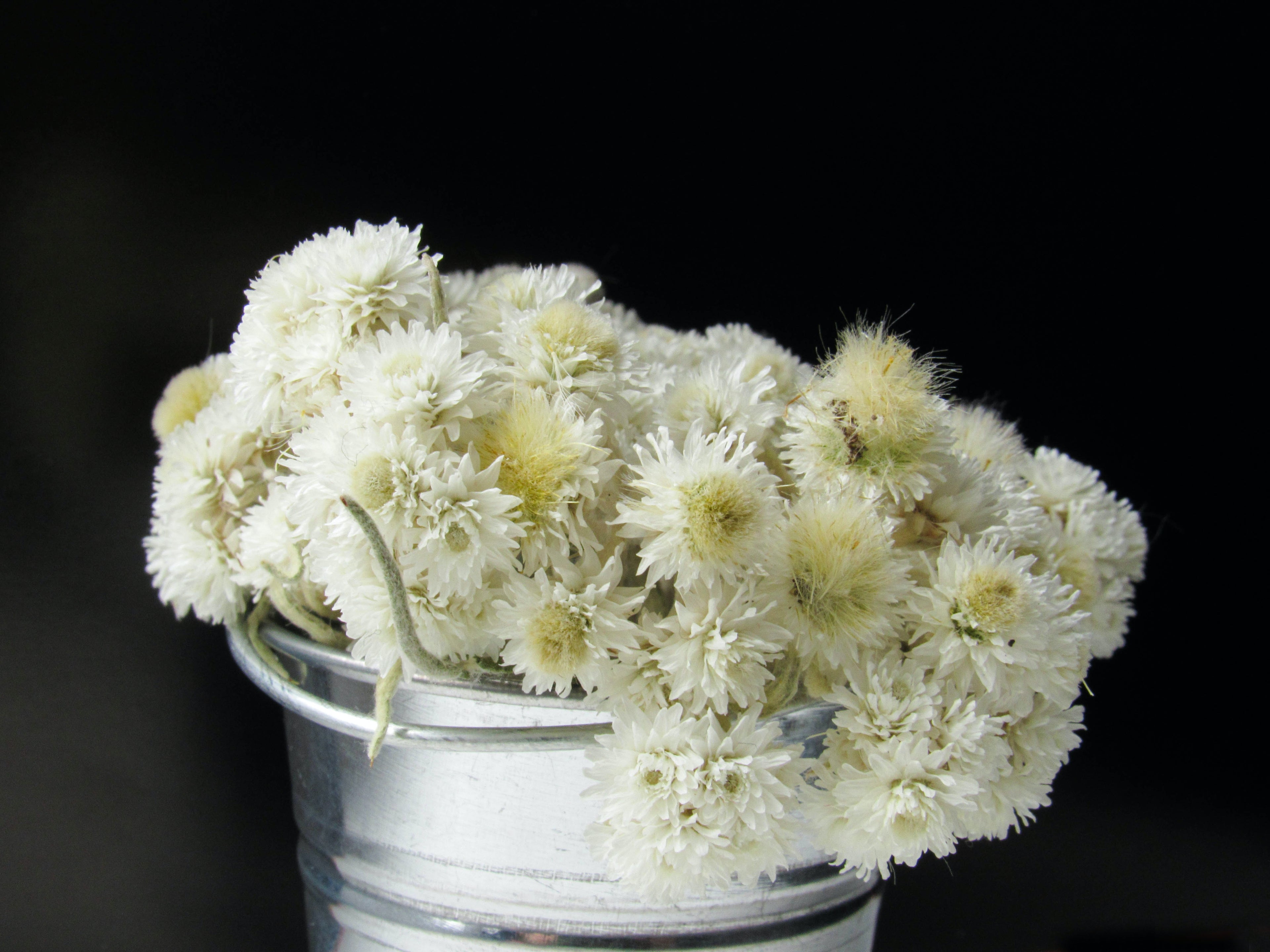 Wedding Bloom Buckets