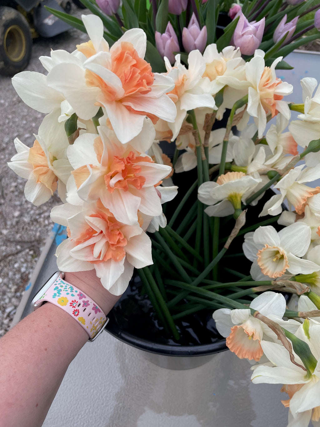 Spring Flower Club - 4 Weeks of Flowers!