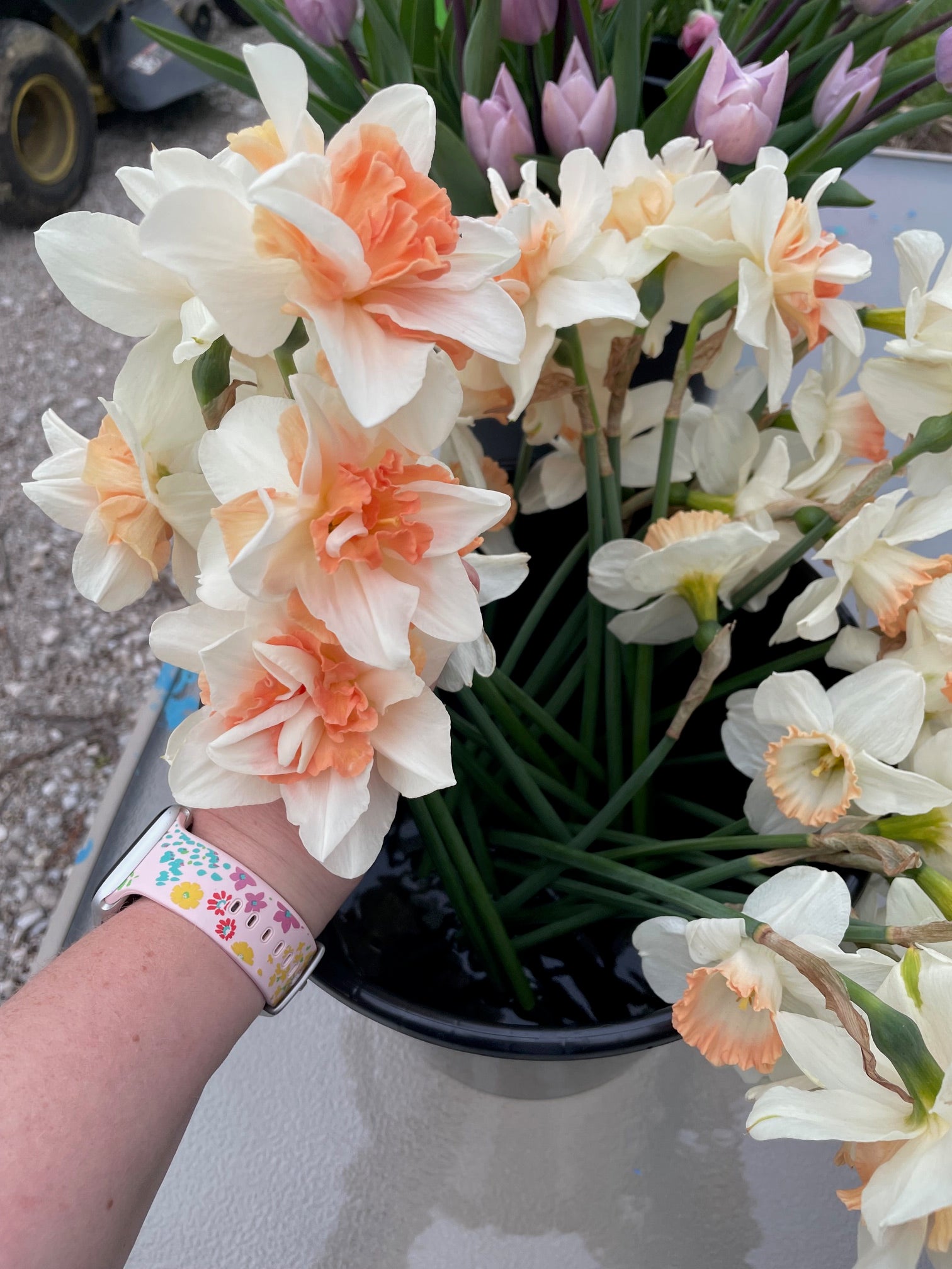 Spring Flower Club - 4 Weeks of Flowers!