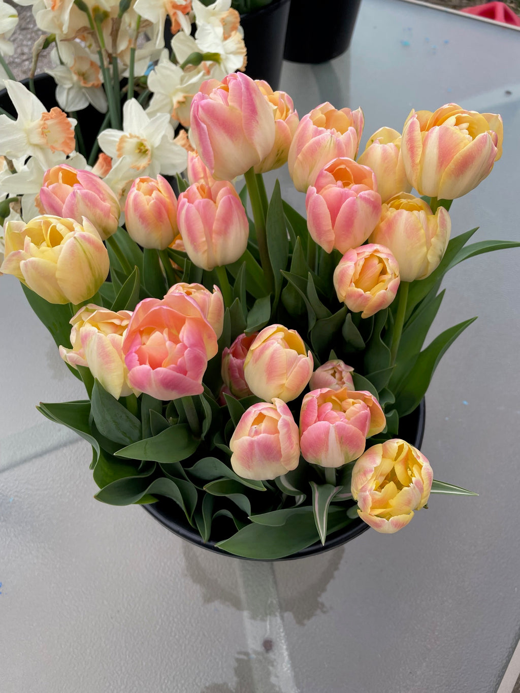 Spring Flower Club - 4 Weeks of Flowers!