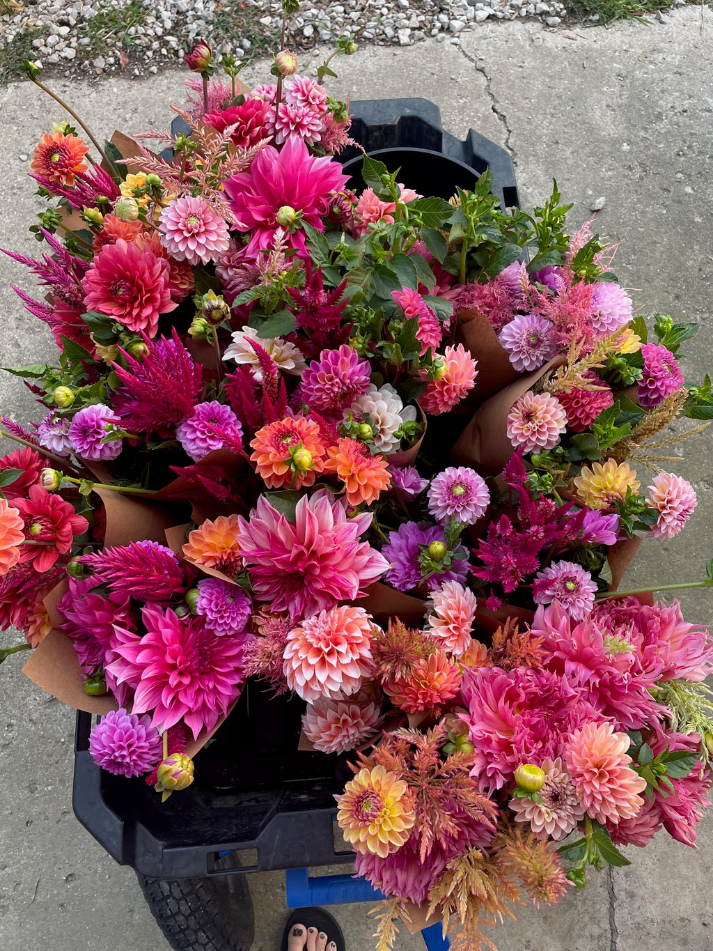 Fall Flower Club - 4 Weeks of Flowers!