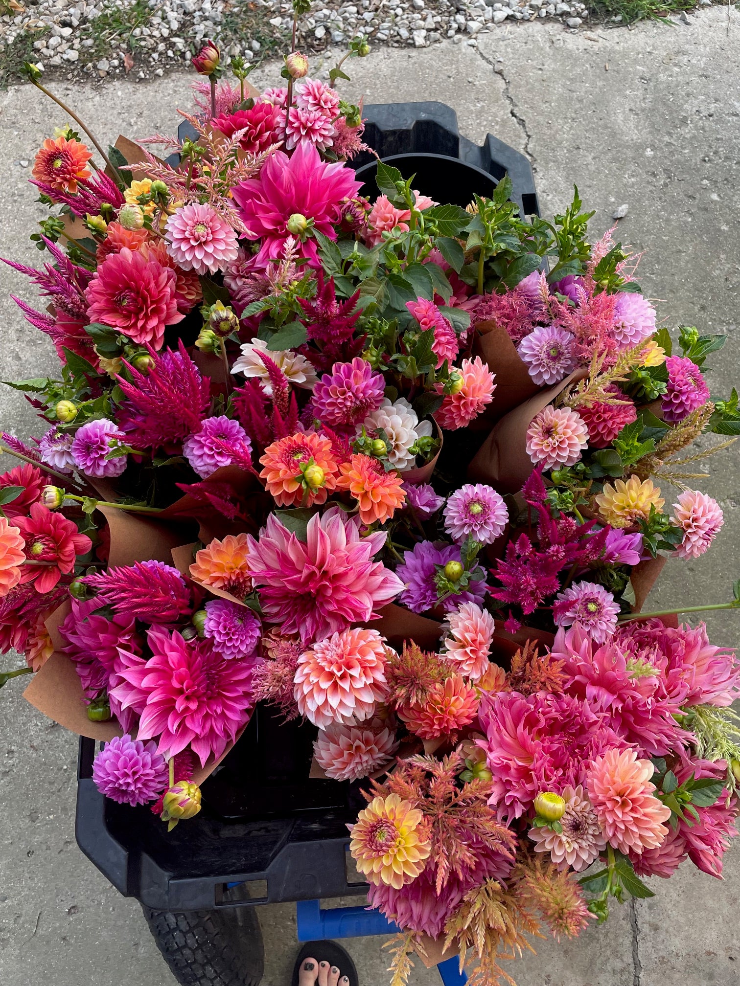 Fall Flower Club - 4 Weeks of Flowers!