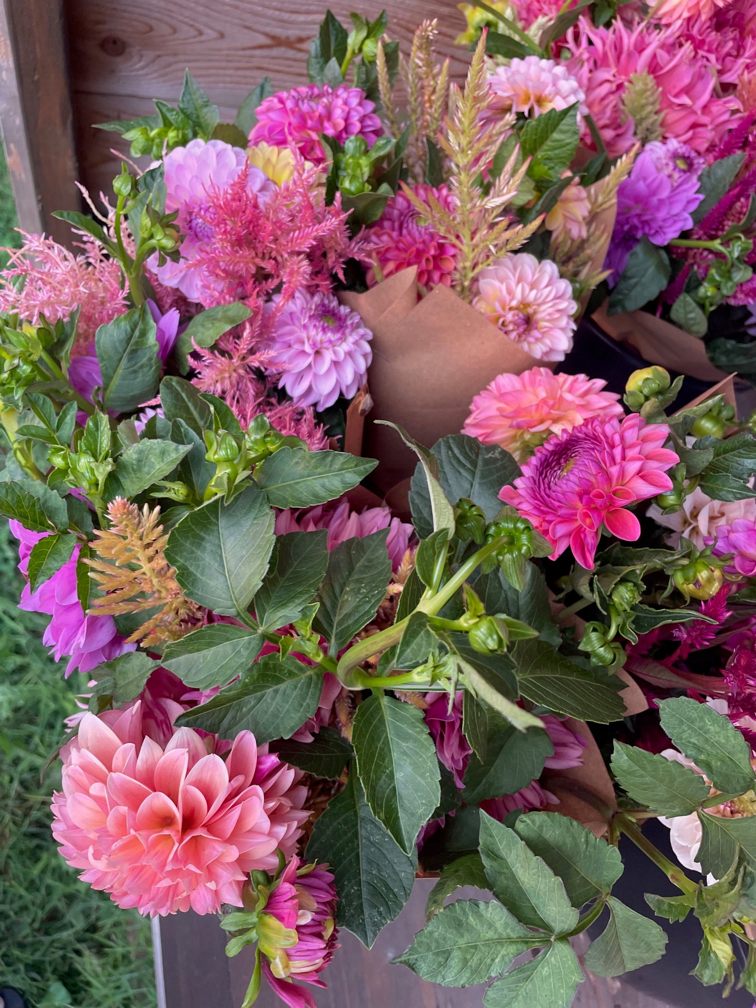 Fall Flower Club - 4 Weeks of Flowers!