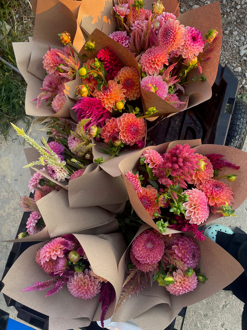 Fall Flower Club - 4 Weeks of Flowers!