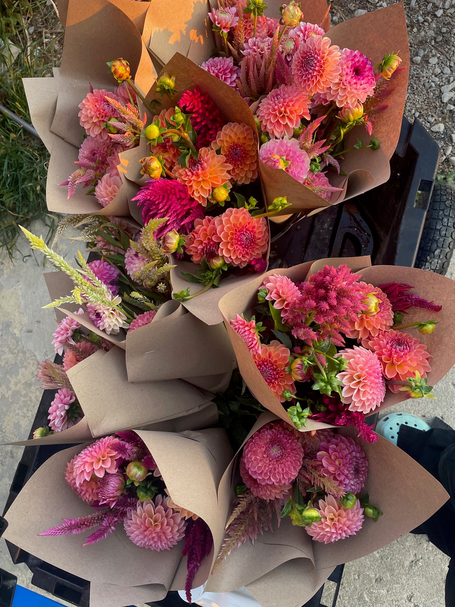 Fall Flower Club - 4 Weeks of Flowers!