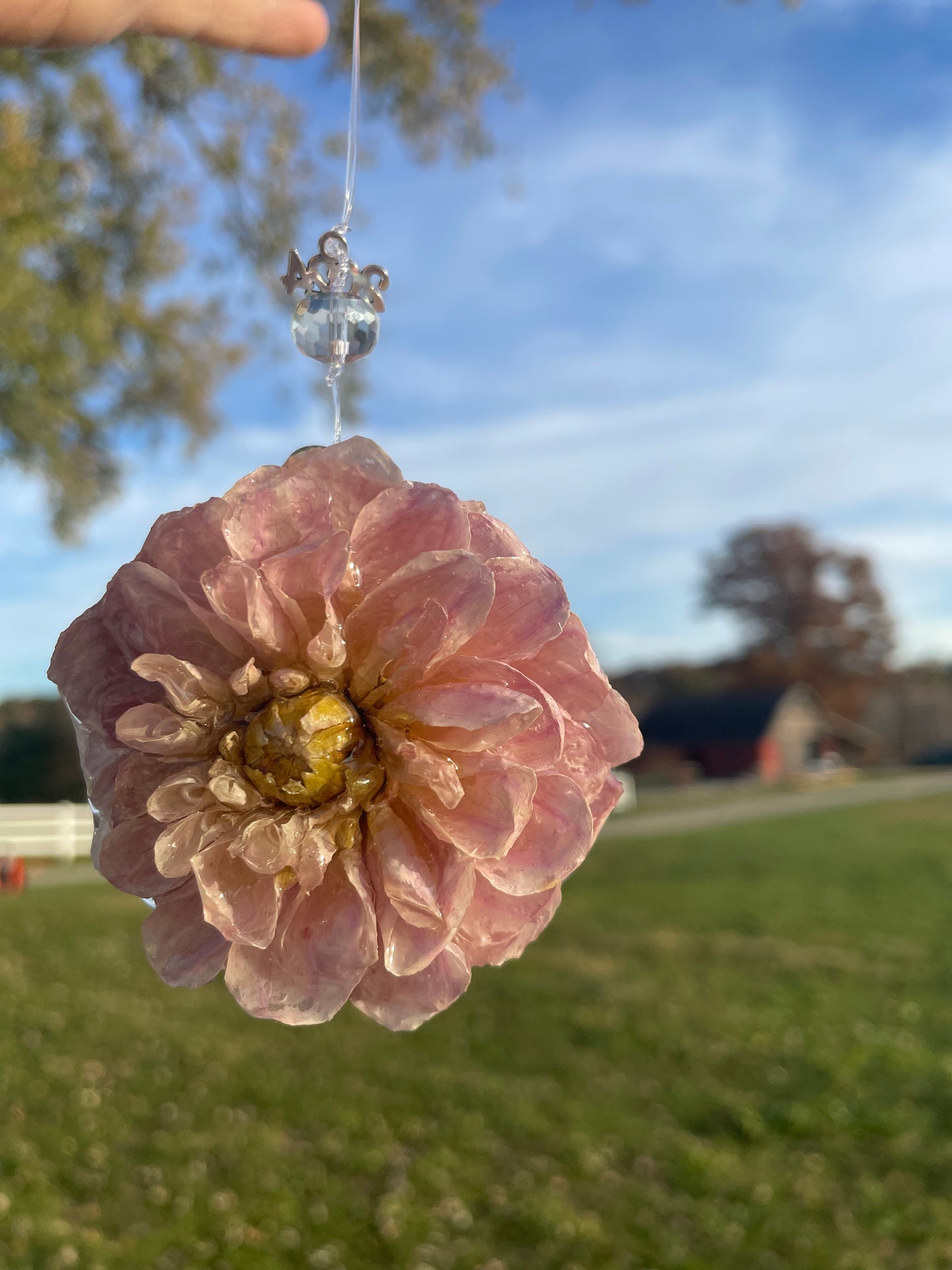 Handcrafted Preserved Dahlia Ornaments