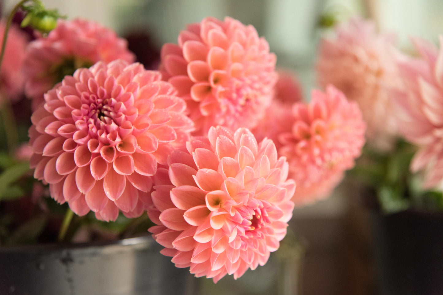 Wedding Bloom Buckets